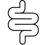 Gut health