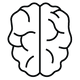 Brain