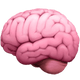 Brain ea769599 e320 4ed4 bab4 3a06922b4b74