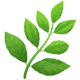 Herb
